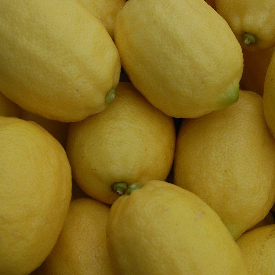 Limones ecológicos 9,5 kg