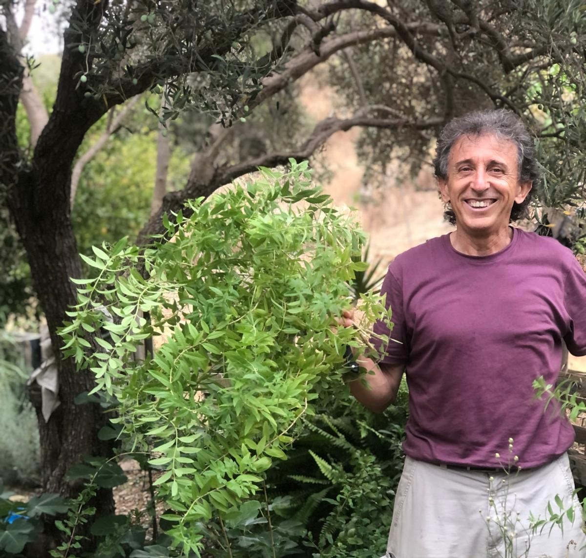 Juande García- Mangos Ecológicos de Vélez- Málaga